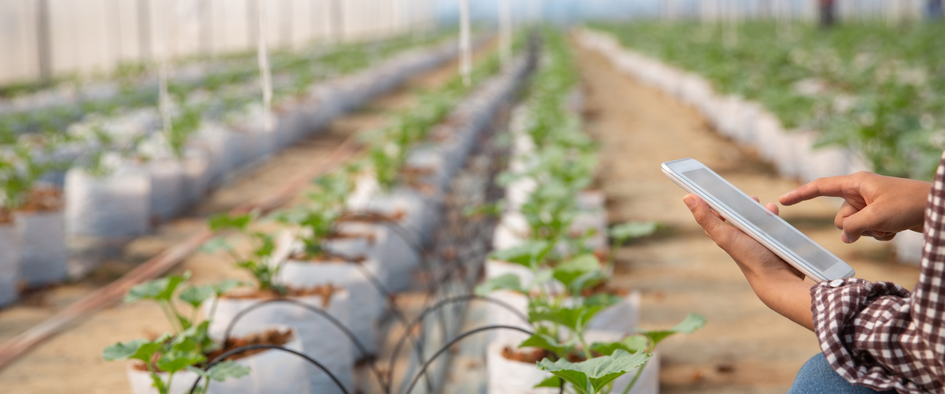 United AG customer success story